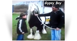 Gypsy Boy